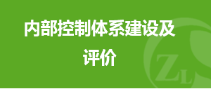 内部控制體(tǐ)系建設及評價